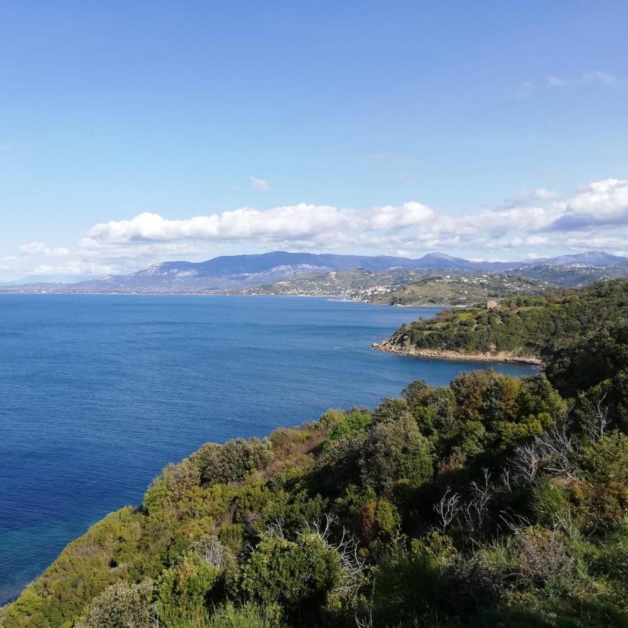 Panoramic Apartments In Villa In Center "The Beach And The Cliff" 1 Agropoli Exteriér fotografie